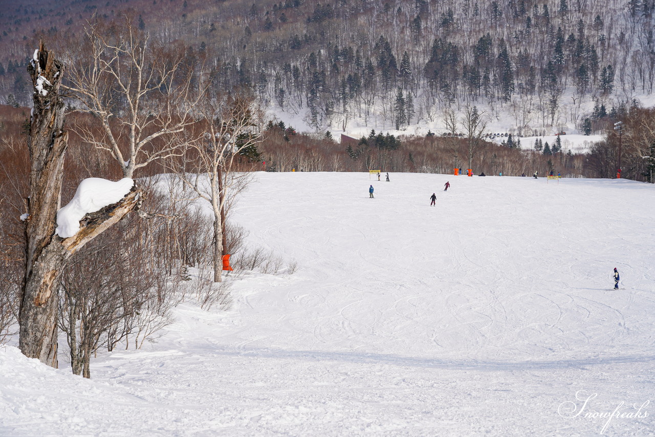 札幌国際スキー場 積雪たっぷり 300cm。コンディション良好なゲレンデでモーグル女子 ・畑田繭さんとコブコブセッション！